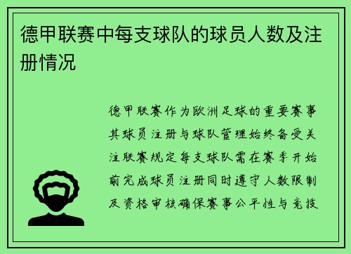 德甲联赛中每支球队的球员人数及注册情况